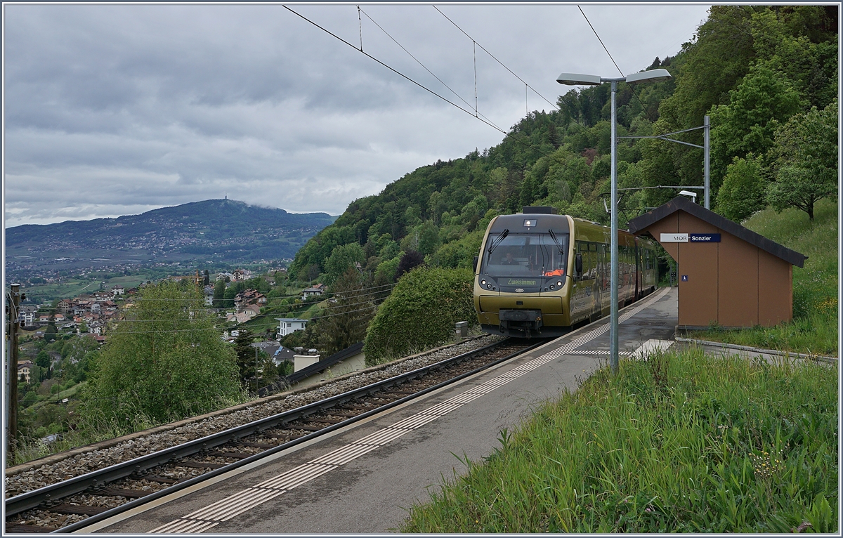 Die MOB ABt - Be 4/4 - Bt sind in der Regel in der Lenk unterwegs und tragen folgerichtig den Namen  Lenkerpendel ; zur Zeit sind sie aber vermehrt auch an er Riviera Vaudoise zu sehe, wie z.B hier bei Sonzier. 

2. Mai 2020