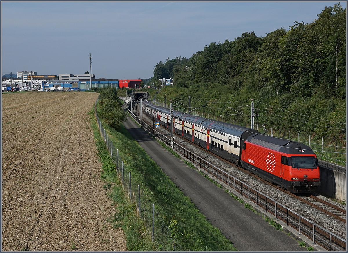 Die NBS (Schnellfahrtstrecke Mattstetten - Rothrist)  bei Langental mit von Re 460 geführen schnell durchfahrenden Zügen. 

10. Aug. 2020