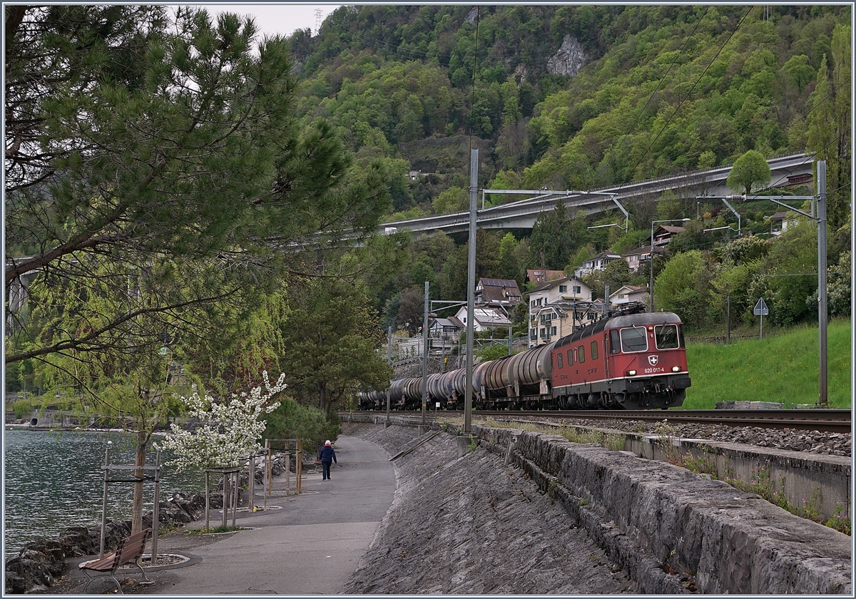 Die SBB Re 620 017-4 mit einem Güterzug Richtung Wallis kruz vor Villeneuve.

23. April 2019