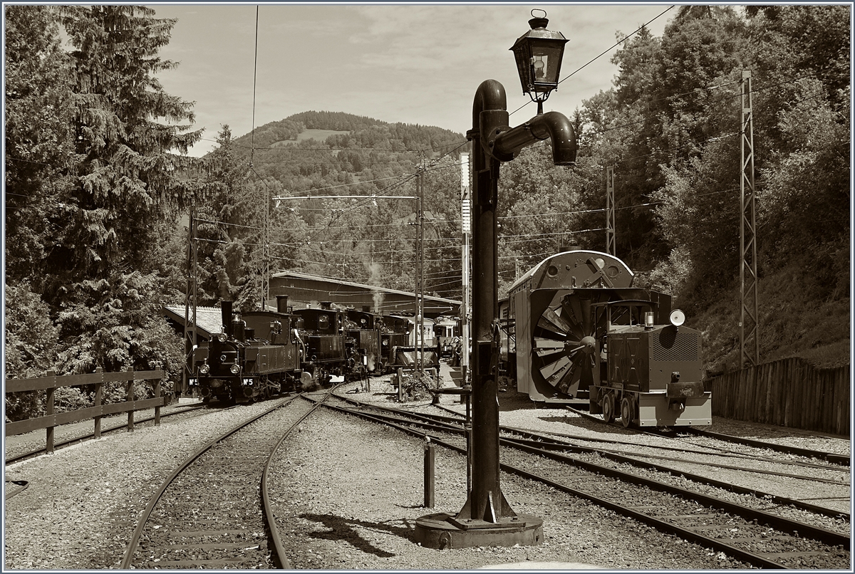Die vier kleine Dampfloks haben von Blonay kommend Chaulin erreicht: Vorneweg die 1890 gebaute LEB G 3/3 N° 5, dann die JS / BAM G 3/3 909 / 6 von 1901, gefolgt von der BFD HG 3/4 3 von 1913 und am Schluss die G 2x 2/2 105 von 1918 der SEG. 
3. Juni 2017