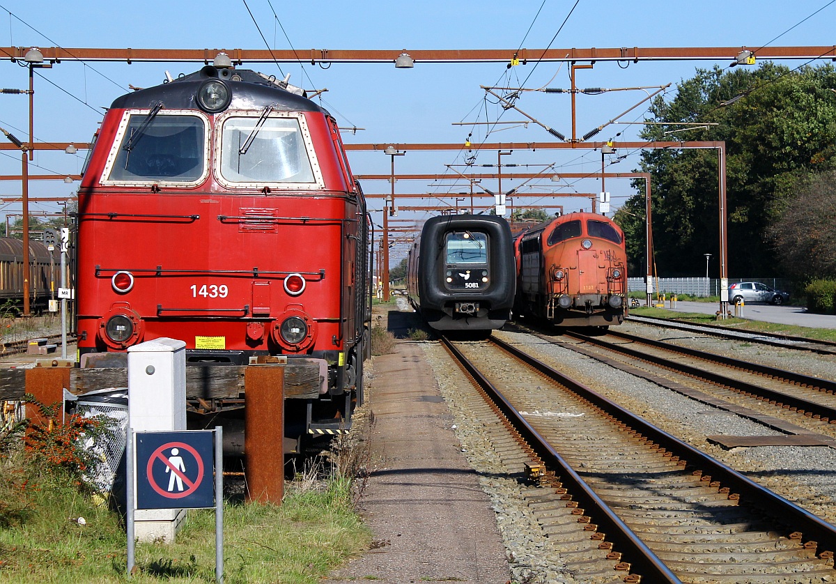 Drei verschiedene Baureihen auf einen Streich...Litra MZ III 1439 der NEG unterwegs für Railcare, der aus Fredericia kommende IC3 MF/FF/MFB 50/54/5281 und die beiden Captrain/Railcare Litra MY's 1122 und 1134 im Gbf/Pbf Padborg aufgenommen. 03.10.2013
