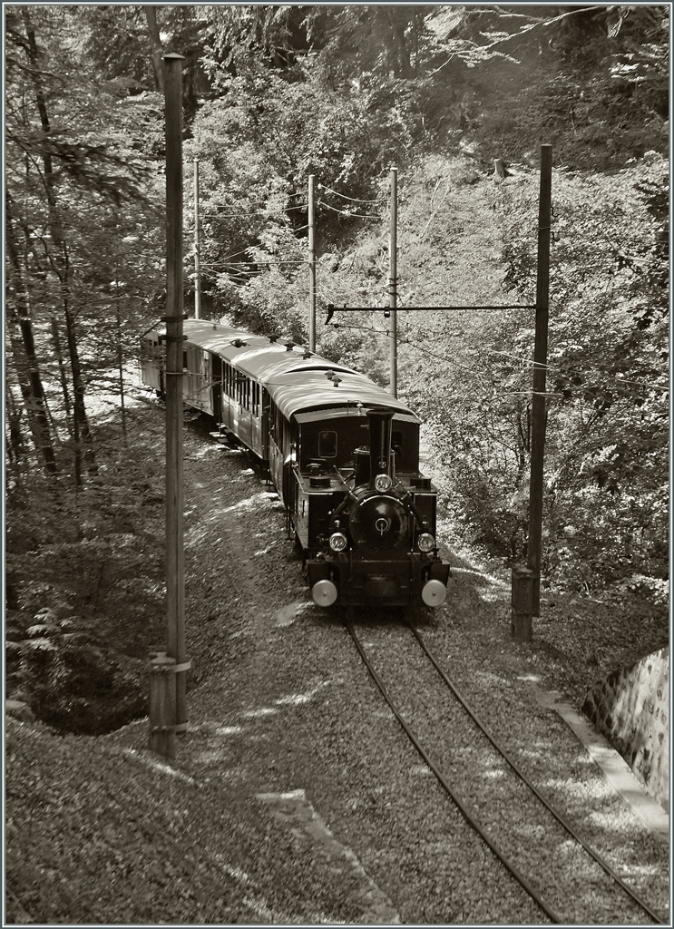 Ein Blonay-Chamby Museumsbahn Dampfzug im Wald oberhalb von Blonay.
9. Juni 2014