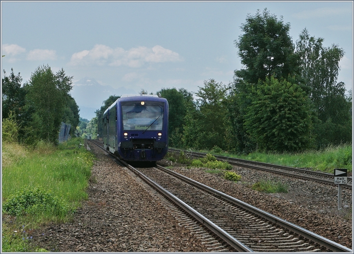 Ein BOB VT 650 auf dem Weg nach Aulendorf erreicht Mckenbeuren. 
16. Juli 2016