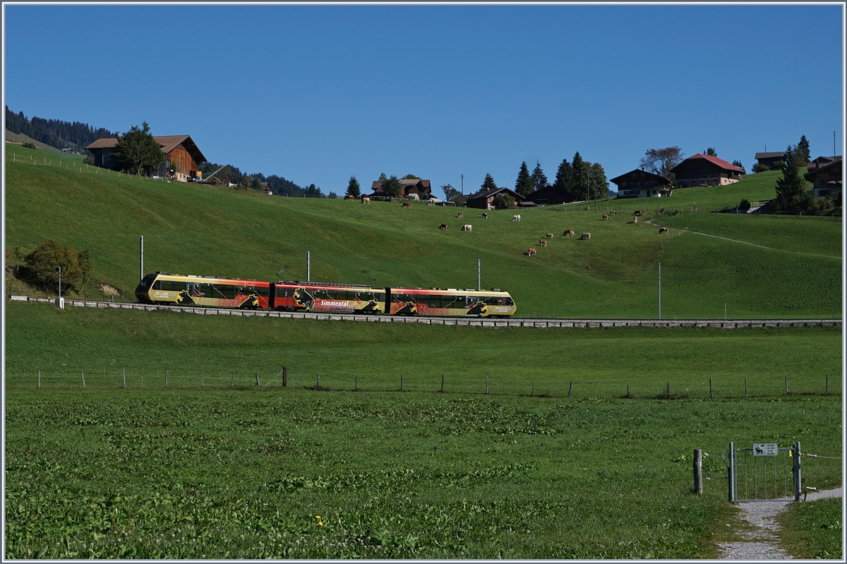 Ein MOB Be 4/4 Serie 5000  Lenkerpendel  ist zwischen Schönried und Gruben unterwegs. 

30. Sept. 2016