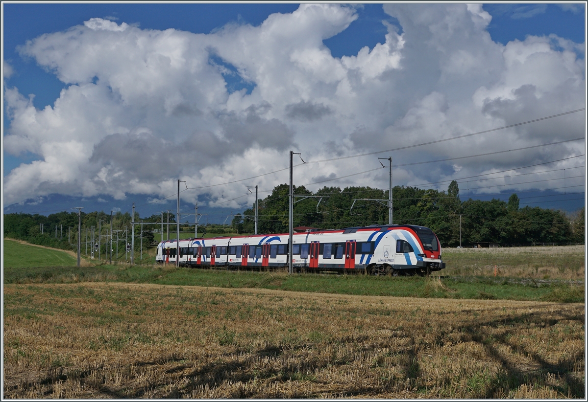 Ein SBB LEX RABe 522 ist als Léman Express bei Satigny als SL5 unterwegs. 

2. August 2021