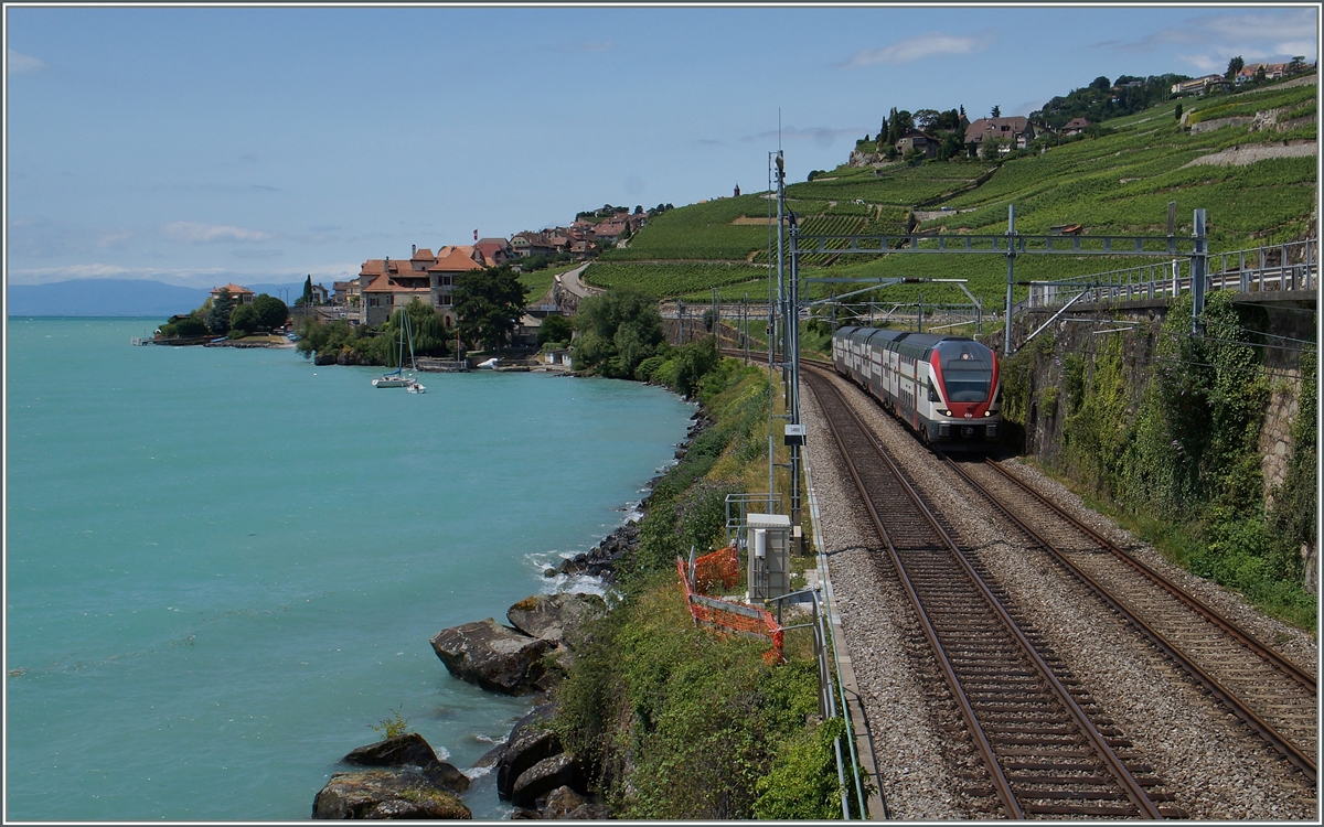 Ein SBB RABe 511 als RE Genève - Vevey bei Rivaz. 
8. Juli 2015
