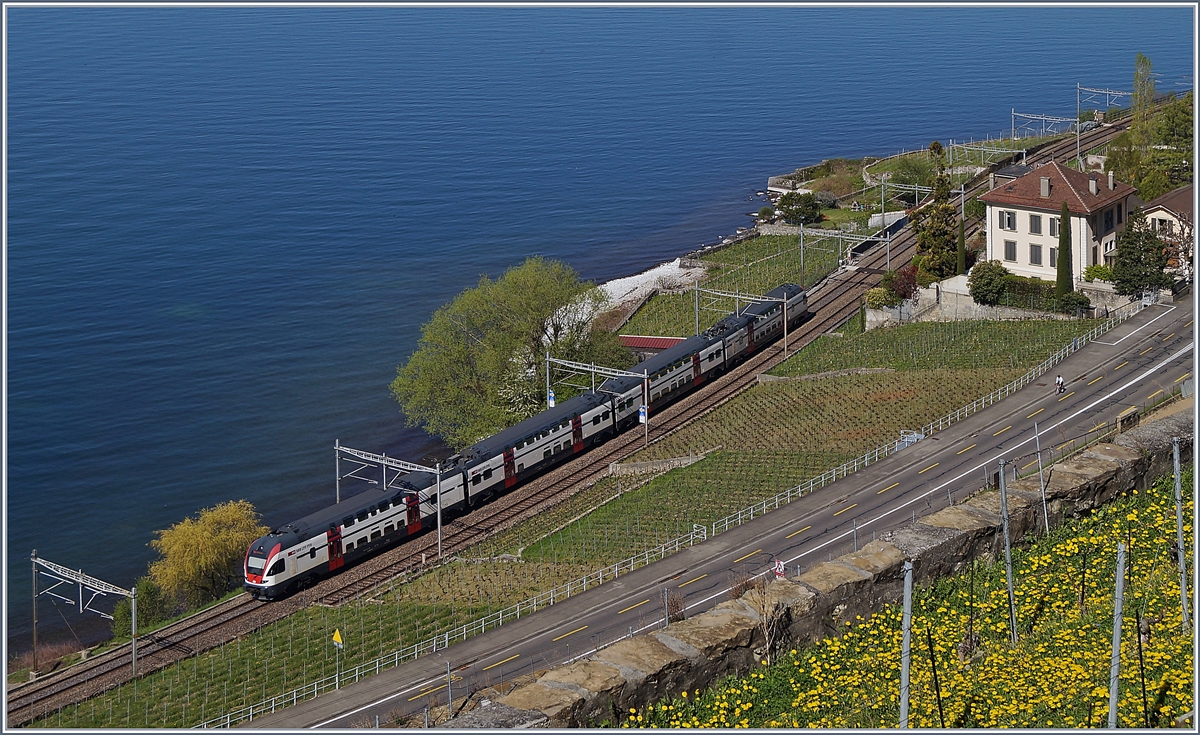 Ein SBB RABe 511 als RE von Vevey nach Genève zwischen Rivaz und Epesses. 

2. April 2018