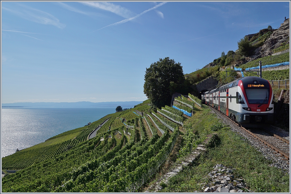 Ein SBB RABe 511 auf der Fahrt von Genève nach Fribourg via Vevey (Sommerfahrplan 2018) kurz vor Chexbres hoch über dem Genefersee.

26. August 2018