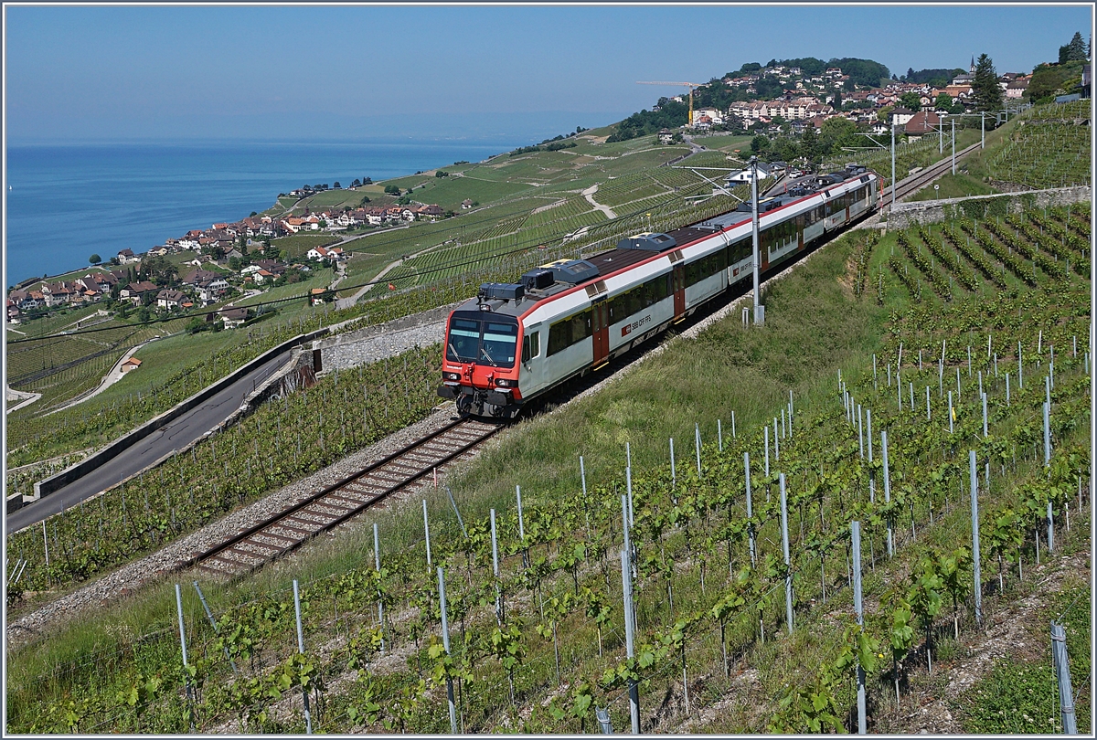 Ein SBB RBDe 560  Domino  ist auf der Train des Vignes stre3cke bei Chexbres unterwegs. 

17. Mai 2020