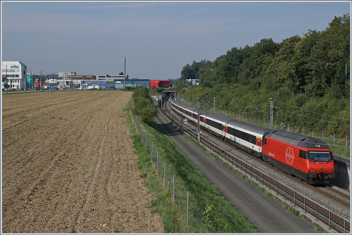 Eine SBB Re 460 ist mit einem IC auf der NBS bei Langenthal unterwegs.

10. Aug. 2020