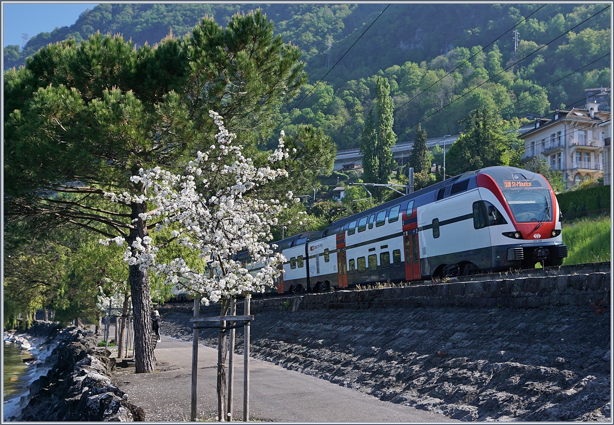 Frühling am Genfersee und als eigentliches Motiv der SBB RABe 511 101 auf dem Weg nach St-Maurice.

16. April 2020