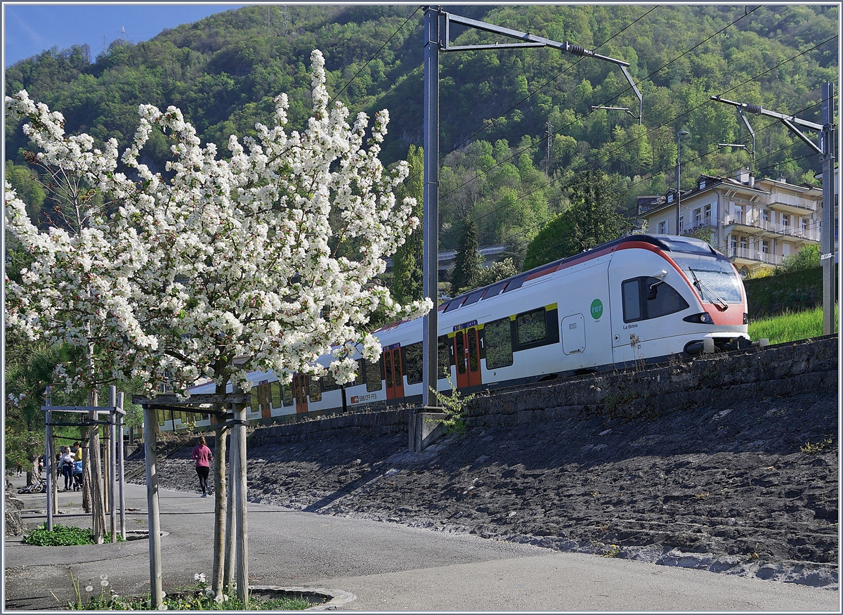 Frühling am Genfersee und ein Flirt auf dem Weg nach Villeneuve. 

16. April 2020