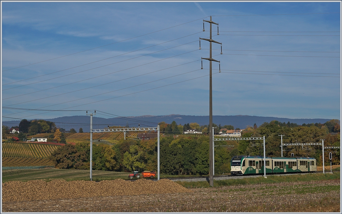 Herbstzeit, Rübenzeit - und die Zuckerrüben wurden bis 2017 im Einzugsgebiet der BAM noch mit der Bahn transportiert und als Besonderheit auf offener Strecke verladen. 
Das Bild zeigt einen BAM SURF, der bei Chigny an einem noch zu verladenen Zuckerrübenberg vorbei fährt.
17. Oktober 2017