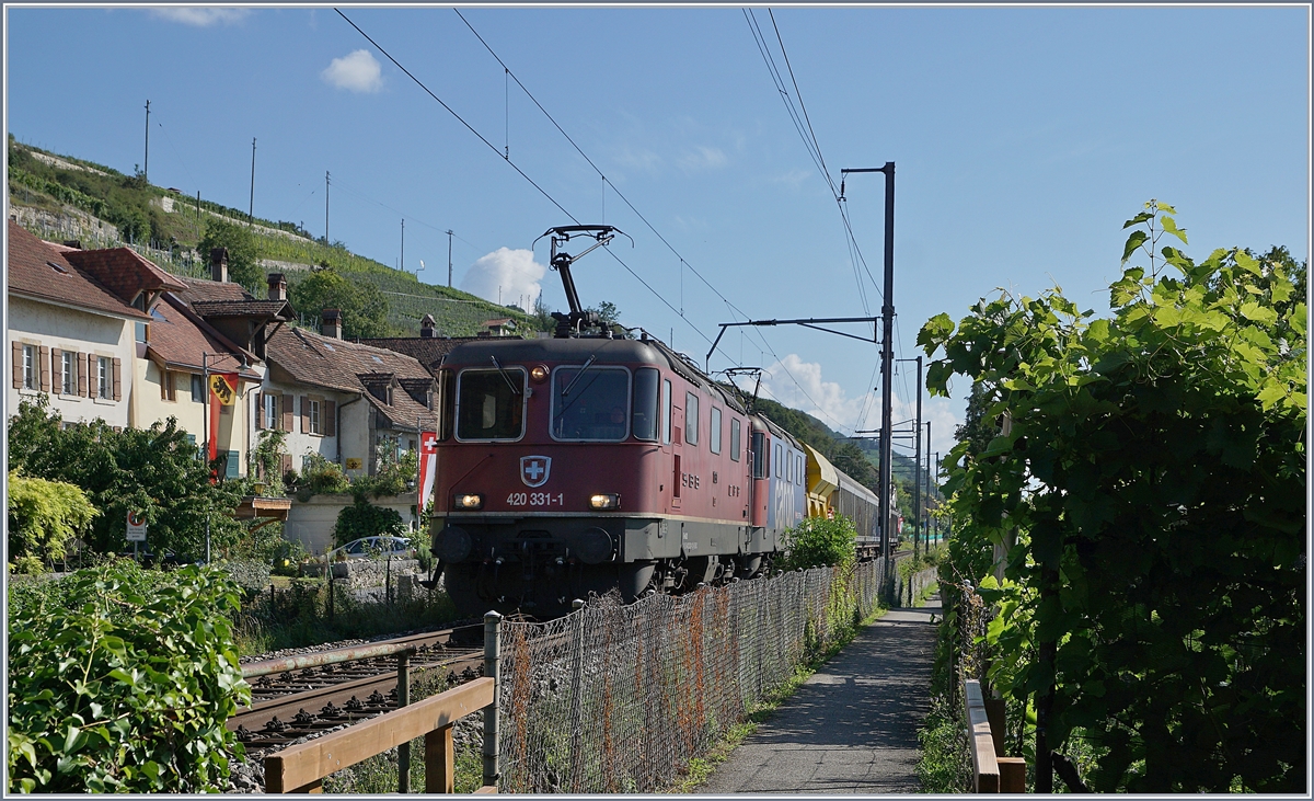 Im Gegenlicht fotografiert: Die SBB Re 420 331-1 und eine weitere mit einem Güterzug Richtung Neuchâtel bei Ligerz. 

14. August 2019