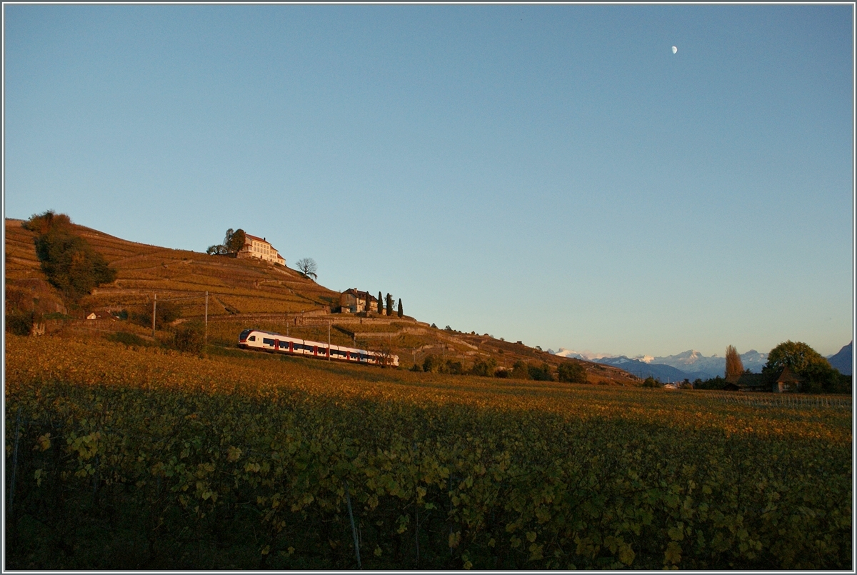 Kurz bevor die Sonne verschwand zeigt sich dieser nach Lausanne fahrende Flirt in den Weinreben bei Lutry.

11 Nov. 2013