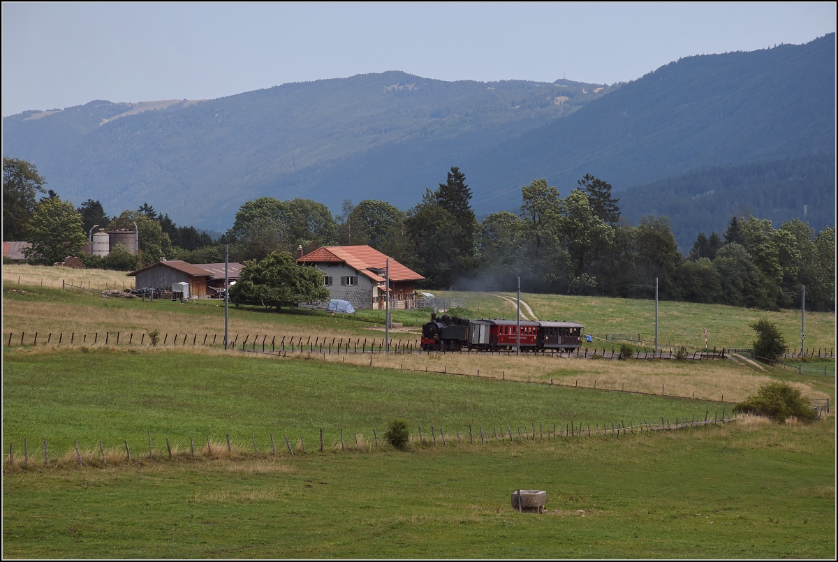 Mit der E 206 nach Tavannes. La Traction Sonderzug bei Pâturage de Sagnes. Diesmal war die Rinderherde so entfernt im weitläufigen Areal, dass sie die Rückfahrt verpassten. August 2019.