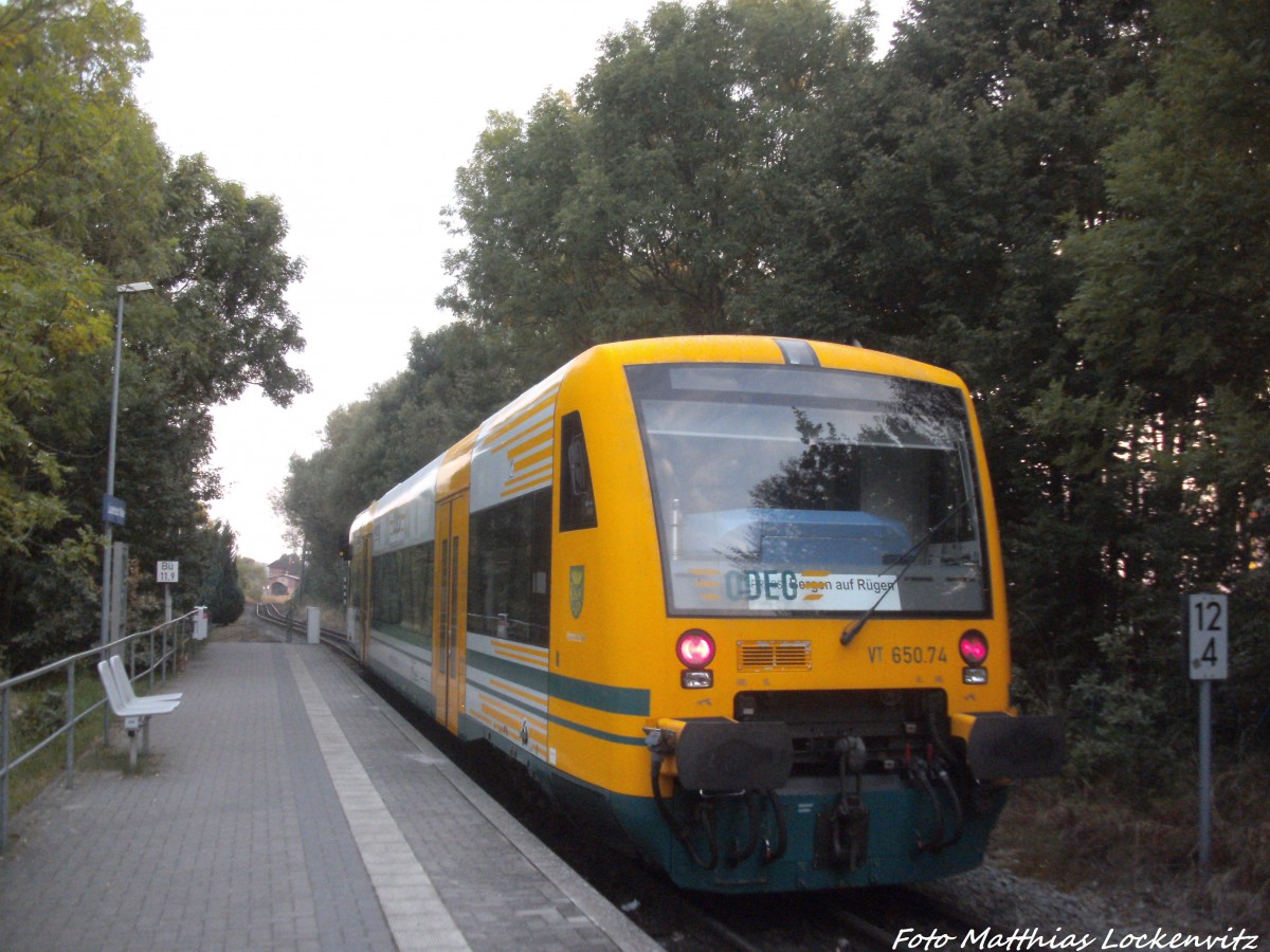 ODEG VT 650.74 im Auftrag der PRESS mit ziel Bergen auf Rgen im Bahnhof Lauterbach Mole am 7.9.14
