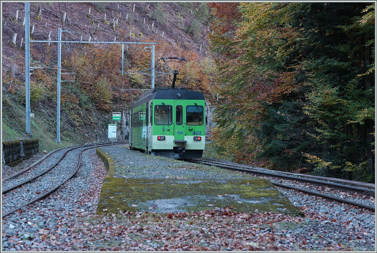 Plambuit - einer der zur Zeit zahlreichen ASD Endstationen... Unstabiles Gelände hat schon vor einiger Zeit die Strecke zwischen Exergilloud und Le Sépey (bzw. Les Planches) unterbrochen und nun hat die Forstwirtschaft beschlossen zwischen Plambuit und Exergilloud Waldarbeiten durchzuführen und dafür sicherheitshalber auch diesen Streckenabschnitt zeitweise gesperrt zu sperren. Plambuit ist ein kleiner Weiler weit weg vom Bahnhof mit sechs Bus-Verbindungen von Ollon und so gibt es am Bahnhof von Plambuit nichts, ausser viel Wald, und den ASD BDe 4/4 4/4 402, der auf die Rückfahrt nach Aigle wartet. 

5. November 2021