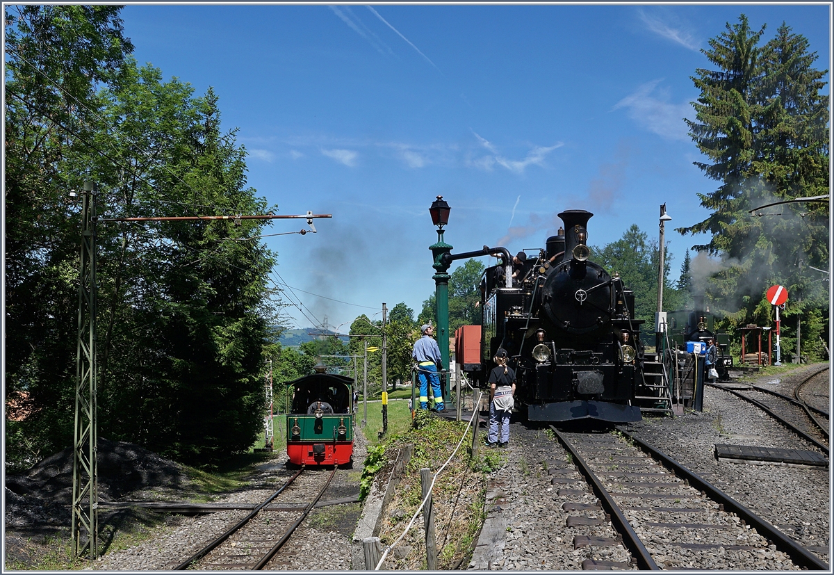  Schweizer Dampf Festival 2019  bei der Blonay-Chamby Bahn: Während die Blonay-Chamby BFD HG 3/4 N° 3 für die Fahrt nach Vevey vorbereitet wird, fährt die kleine G 2/2 FD mit einem NStCM Personenwagen vorbei.

8. Juni 2019  
 