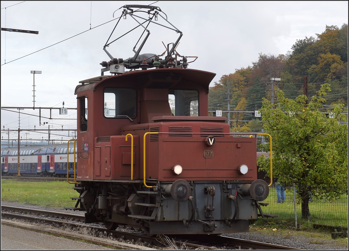 Te III 177 der SBB Historic. Olten, Oktober 2019.