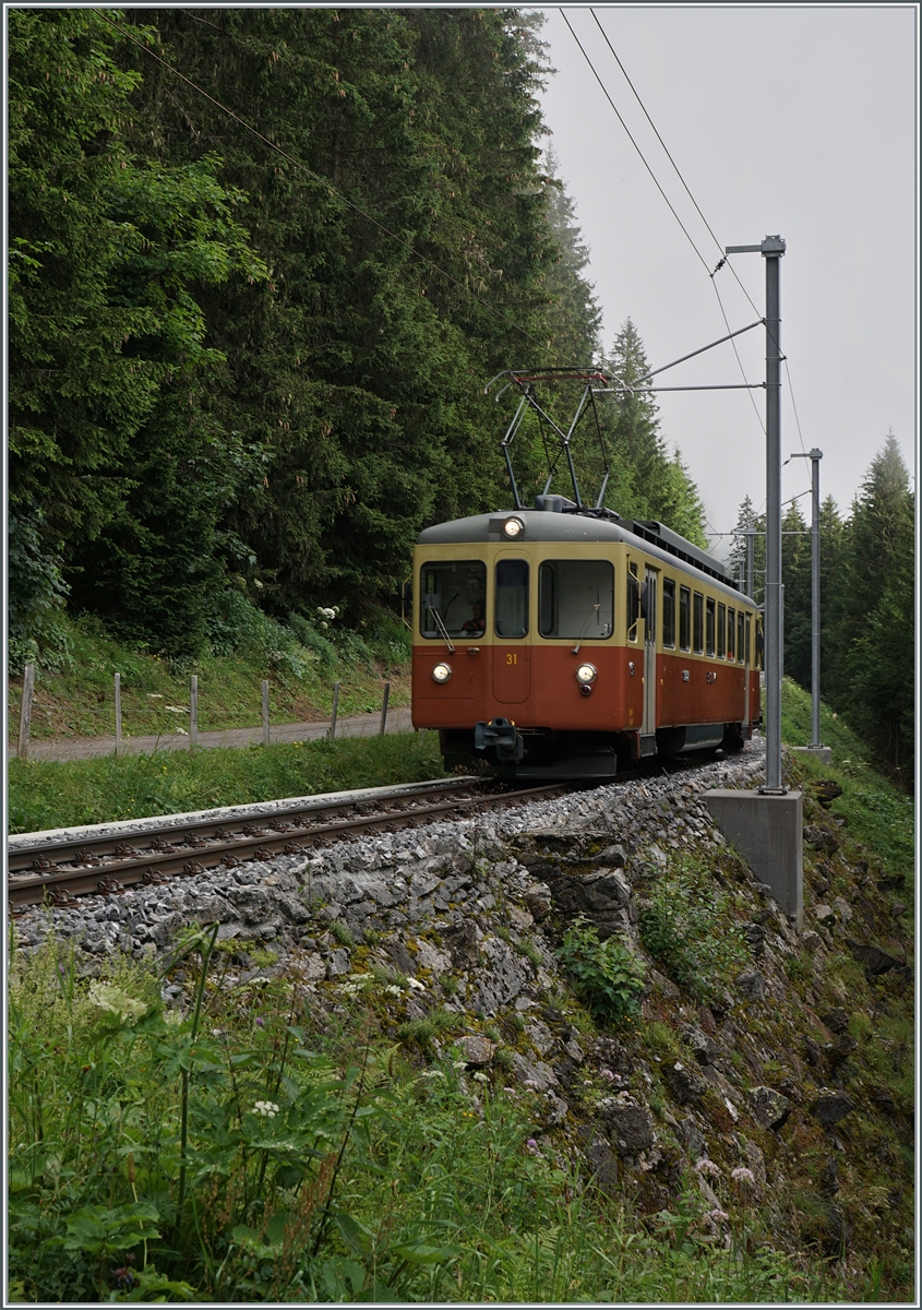 Von der Grütschalp her kommend ist der BLM Be 4/4 31  Lisi  kurz vor Mürren schon fast am Ziel seiner Fahrt. 

23. Juli 2024