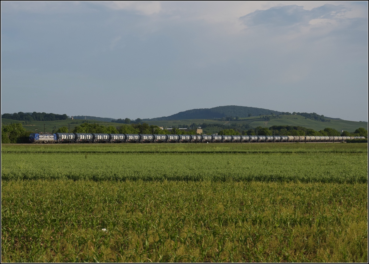 Vor kurzem wurde noch in der Drehscheibe-online diskutiert, dass praktisch alle Kesselwagenzüge nur 20-22 Wagen mitführen würden. Dieser hier hat 40 Wagen. Re 475 902 der Widmer Rail hat die Beförderung übernommen. Hügelheim, Juni 2022.