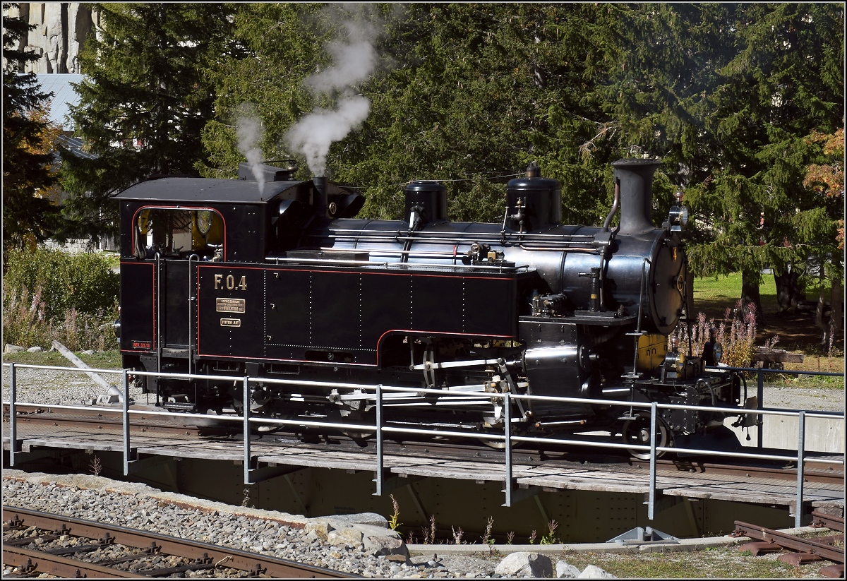 Zufällig vorbeigekommen an der FO Nr. 4. Die muss man in ihrem natürlichen Habitat natürlich gleich ablichten. Gletsch, Oktober 2018.