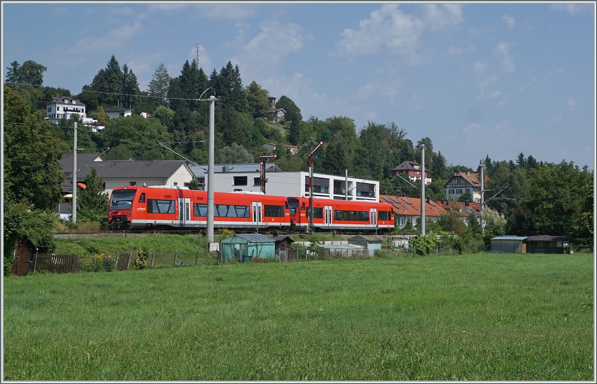 Zwei DB 650 Treibwagen streben bei Enzisweiler in Richtung Lindau Insel.

14. August 2021