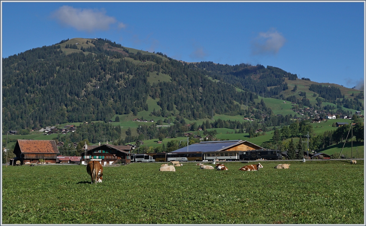 Zwischen Kühen und Bergen fährt die MOB GDe 4/4 6002 mit ihrem Golden Pass Panoramique bei Gstaad in Richtung Zweisimmen. 

3. Okt. 2019