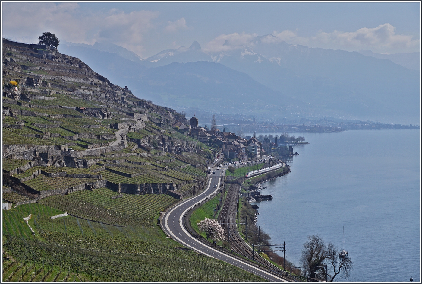 Bei St-Saphorin folgt das Trasse der Simplon-Linie auf einem schmalen Steifen der Line zwischen See und Rebbergen. Und wer genau hinschaut, entdeckt einen SBB ETR 610 /RABe 503 als EC auf der Fahrt von Milano nach Genève. 

30. März 2025