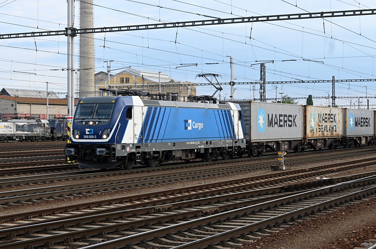 CDC 388 009 fuhr mit einen containerzug durch breclav,08.05.24