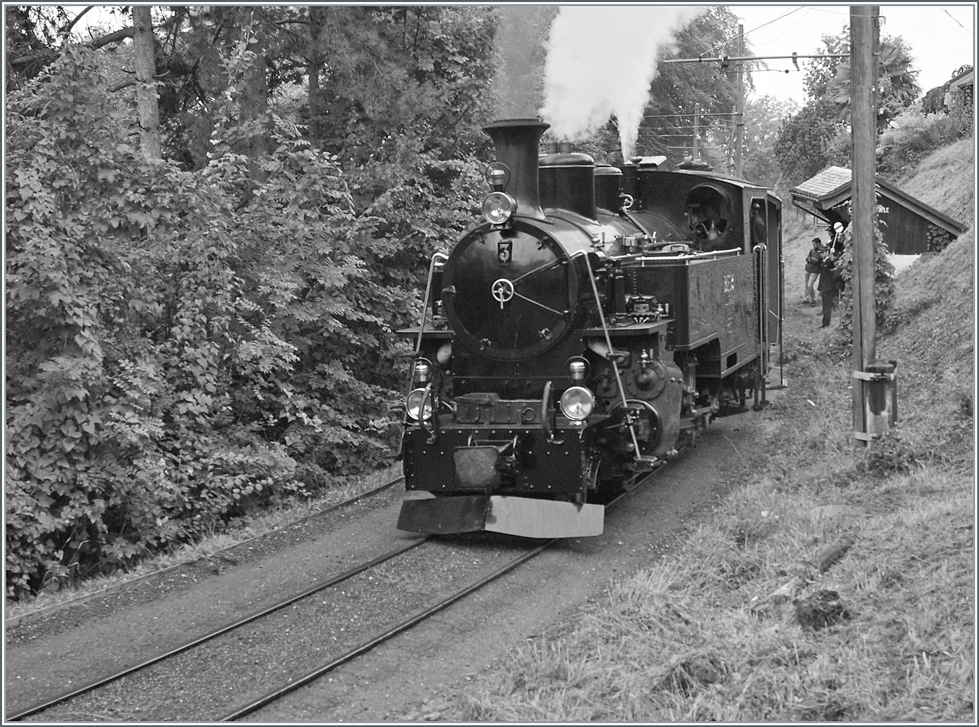 Die BFD HG 3/4 N° 3 der Blonay Chamby Bahn verlässt in Chantemerle; wobei es viel Fingerspitzengefühl erfordert, die Lok mit dem schweren Zug auf den feuchten Schienen in der straken Steigung in Bewegung zu bringen. 

8. September 2024
