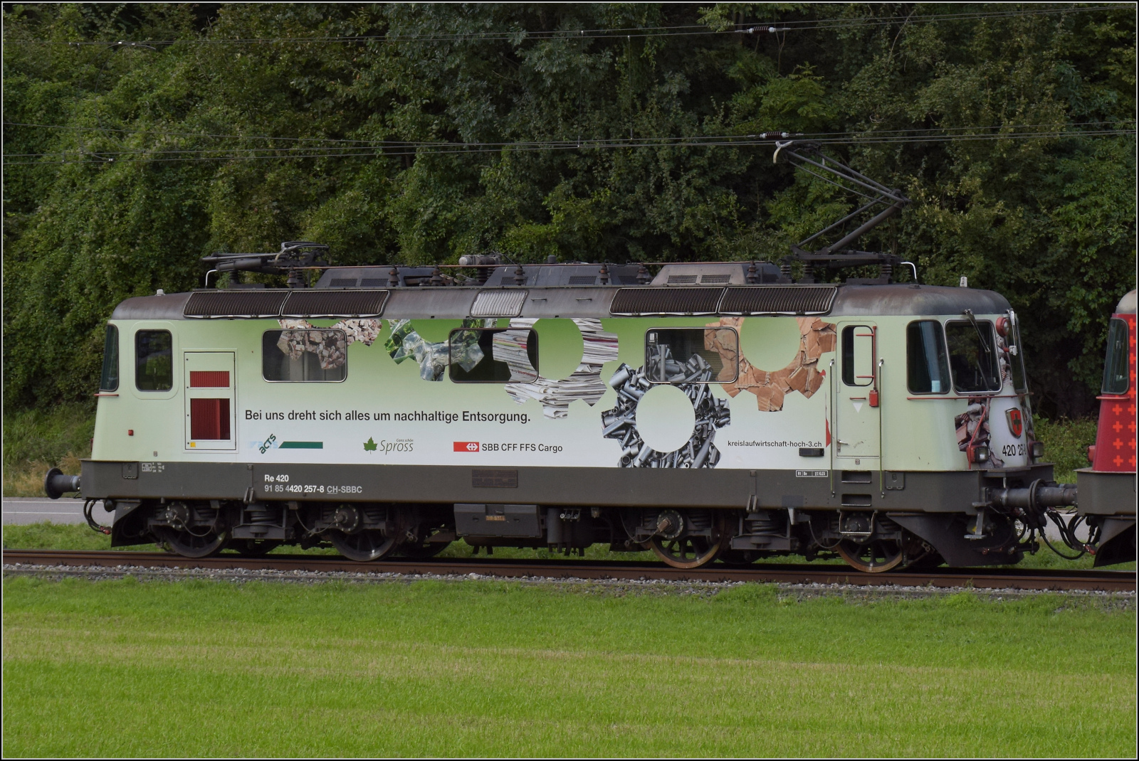 Grosses BoBo-Treffen in Balsthal - die Teilnehmerinnen:

Re 4/4 II 11257 mit Werbung für Kreislaufwirtschft und ungültiger Webadresse. Diese Lok entstammt trotz deutlich niedrigerer Nummer der nach den SBB-Re 4/4 III gebauten 4. Lieferung. Äusser Klus, September 2024.