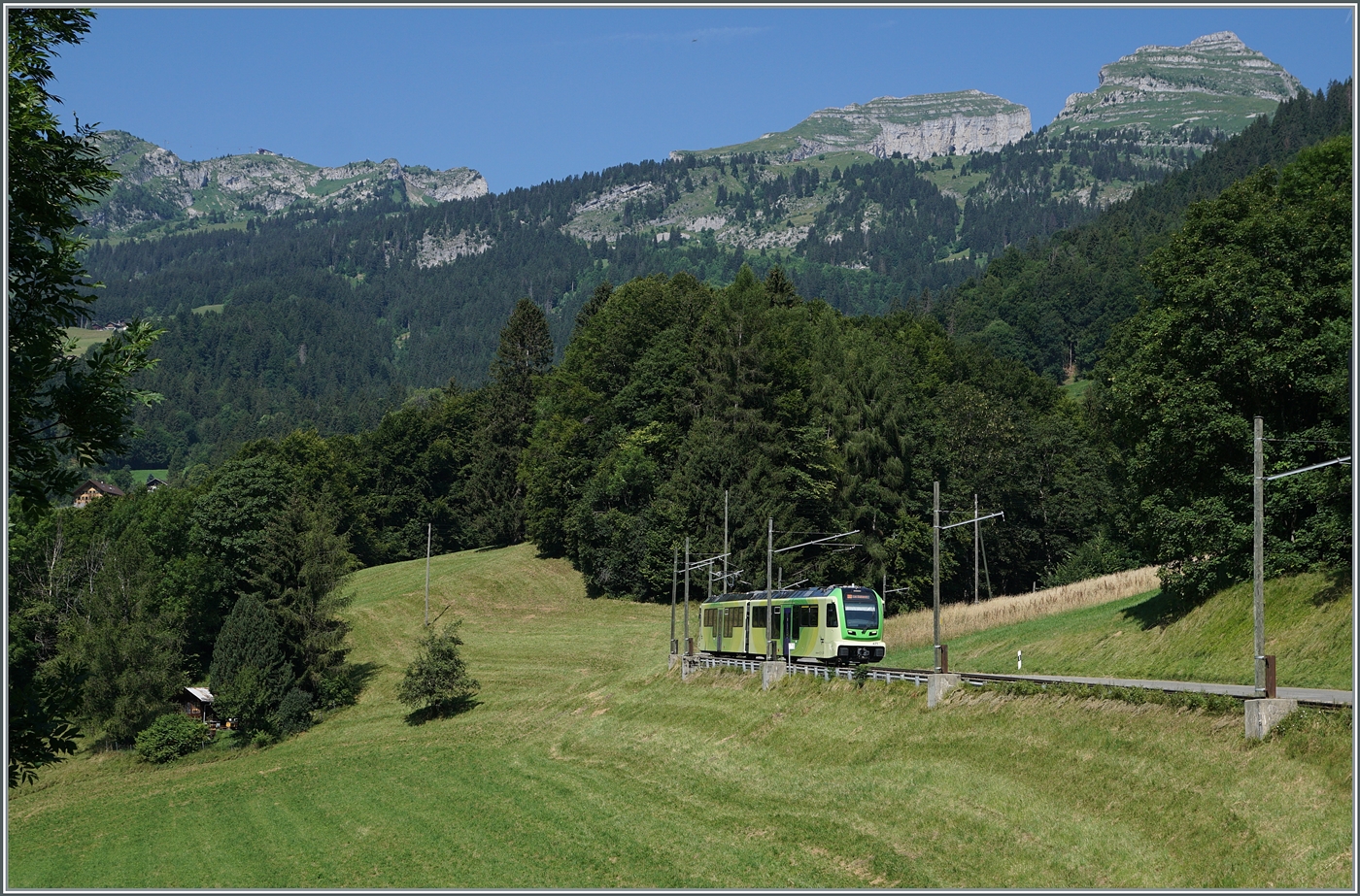 Hingegen geht der im Farbschema der TPC lackierte ABe 4/8 471 in den Farben der umliegenden Natur fast unter. Der Triebwagen ist auf dem Weg nach Les Diablerets. 

27. Juli 2024