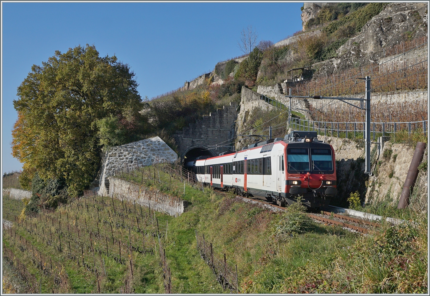 Kurz nachdem Verlassen des 20 Meter langen Salanfe Tunnel oberhalb von St-Saphorin ist der SBB RBDe 560 210 (UIC RBDe 560 DO 94 85 7 560 210-7 CH-SBB) als R 7 24749 auf dem Weg von Puidoux nach Vevey. 

15. Nov. 2024