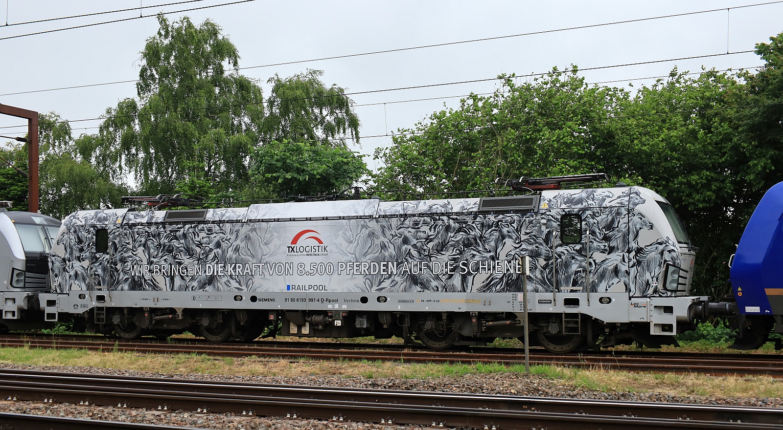 TXL/RP 193 997-4 REV/MMAL/05.11.19  Pferdelok  abgestellt in Pattburg/DK am 03.06.2024
