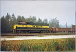 Die Bay Line Railroad EMD GP38 501 (zweite Generation) rangierte Güterwagen in Panama City, Florida.