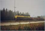 Auch im Sune Shine State Florida kann es mal neblig sein; in Panama City rangiert die EMD GP38 N° 501 der Bay Line Railroad einige Güterwagen.