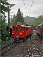Der letztes Jahr hervorragend revidierte Bernina Bahn Rhb ABe 4/4 I 35 der Blonay Chamby Bahn übernimmt zum Saisonauftakt am 3. Mai 2025 den Einsatz der eklektisch geführten Züge (bis auf den letzten Zug am Abend). Im Bild der ABe 4/4  ...