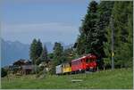 Ein kleiner Zug auf grosser Fahrt: Der RhB Bernina Bahn ABe 4/4 I N° 35 der Blonay Chamby Bahn ist mit dem Bernina Bahn As2 und dem MOB B4 N° 61 (beide auch Blonay-Chamby) als 'Valrose Nostalgie Express' kurz vor Les Avants auf der Fahrt vo ...