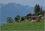 Ein kleiner Zug auf grosser Fahrt: Der RhB Bernina Bahn ABe 4/4 I N° 35 der Blonay Chamby Bahn ist mit dem Bernina Bahn As2 und dem MOB B4 N° 61 (beide auch Blonay-Chamby) als 'Valrose Nostalgie Express' kurz vor Les Avants auf der Fahrt vo ...