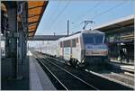 Für die bis zu 200 Km/h schnellen TER Züge Basel - Strasbourg setzt die SNCF BB2600 Sybic Loks ein. Im Bild die SNCF BB 26160 in Sélestat.

18. März 2025