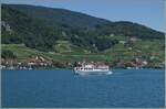 Vom BSG Motorschiff 'Stadt Biel' konnte zwischen Twann und Ligerz das BSG Motorschiff 'Chasseral' fotografiert werden. 

11. Juli 2025