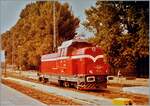 Ein ziemlich altes Bild: die damals wohl fabrikneue BDZ Diesellok 55 101 rangierte in Varna.