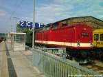 112 565-7 (DB 202 565-8) zusammen mit Der 91 134)im Sonderzugeinsatz Zum Bahnhofsfest in Putbus am 18.5.12+19.5.12 / Hier ist Der Zug Abfahrbereit im Bahnhof Bergen auf Rgen am 19.5.12