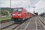 br-245/829810/die-db-diesellok-245-006-verlaesst Die DB Diesellok 245 006 verlässt mir ihrem IRE von Friedrichshafen nach Bassl Bad. Bf. den Bahnhof von Waldshut. 

6. Sept. 2022