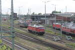 Blick auf die 232 571, auf eine Hectorrail 151 und E-Loks der Baureihe 101 in Halle/Saale am 9.6.21