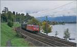 BR 185/818240/die-db-185-091-6-ist-mit Die DB 185 091-6 ist mit dem Novellis Aluminium Zug auf der Fahrt von Sierre nach Göttingen und fährt dabei kurz nach Villeneuve dem Genfer See entlang. 

30.09.2022