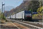 Zwei von SBB International gemietet 189 fahren mit einen Güterzug bei Preglia nordwärts.