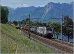 BR 189/709788/der-novelis-gueterzug-von-sierre-nach Der 'Novelis' Güterzug von Sierre nach Géttignne kurz nach Villeneuve, noch mit einer 189; kurz darauf übernahm die DB den Zug der nun mit 185 geführt wird. 

8. Mai 2020